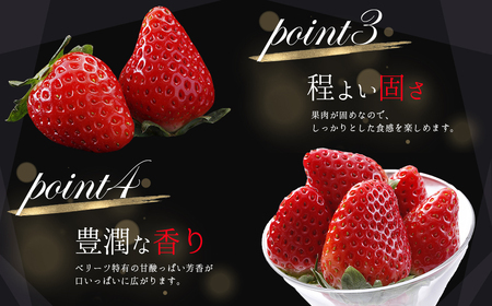 大分県産 ベリーツ　約270g×2パック J1