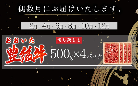【定期便】偶数月に届く！おおいた豊後牛 切り落とし2kg(500g×4パック)×6回　D27-S