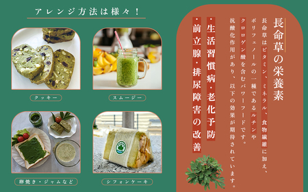 姫島村産 長命草 ペースト 1箱(30袋入り) P1