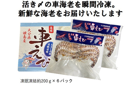 生食用凍眠凍結姫島車えび(養殖)約200g(6尾~10尾)×6パック A3
