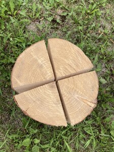 北海道 スエーデントーチ