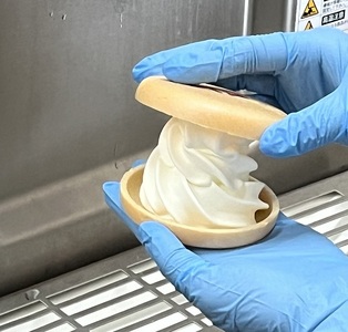 北海道 牧場の生ソフトクリーム最中 10個人気アイスクリーム 北海道アイスクリーム アイスクリーム 冷凍アイス 北海道アイス