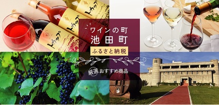 十勝ワイントカップ12本セット　辛口ワイン　北海道ワイン　甘口ワイン　人気ワイン　定番ワイン