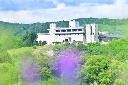 十勝ワイン ブルーム白1本 北海道スパークリング 瓶内二次発酵 ワイン