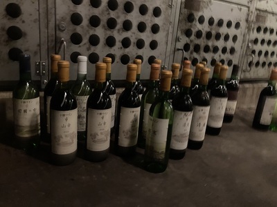 十勝ワインセラー貸付権