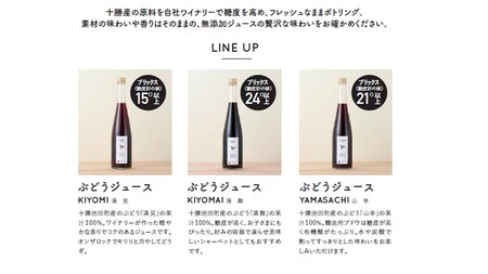 北海道十勝池田町産 醸造用 ぶどうジュース 2本セット ストレート 無添加