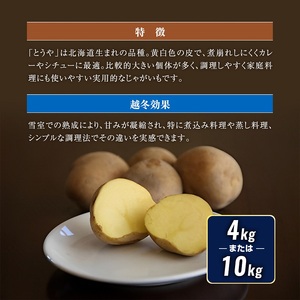北海道産 熟成じゃがいも とうや 4㎏ 期間限定 雪室貯蔵 十勝産 ジャガイモ じゃが芋 いも 甘い