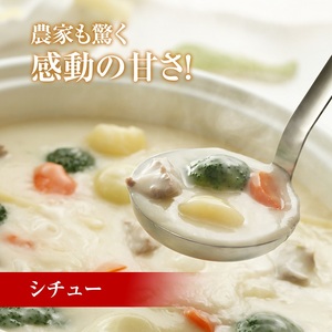 北海道産 熟成じゃがいも とうや 4㎏ 期間限定 雪室貯蔵 十勝産 ジャガイモ じゃが芋 いも 甘い