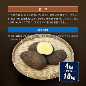 北海道産 熟成じゃがいも 北海黄金 4kg  期間限定 雪室貯蔵 十勝産 ジャガイモ じゃが芋 いも 甘い