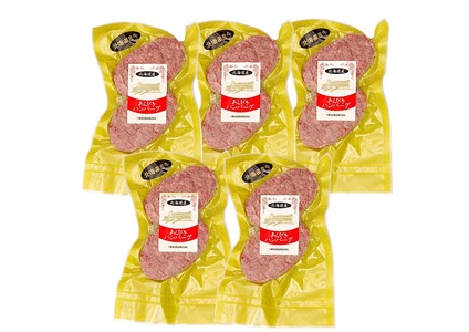 北海道 牛粗挽きハンバーグ10個×100g 1000g 1kg 国産 牛肉100％ 人気 便利 オススメ 冷凍 小分け 個包装 お弁当 惣菜 おかず 焼くだけ 簡単調理 家計応援