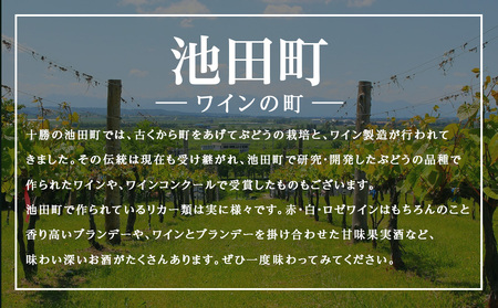 十勝ワイン シャトー十勝 2004 準グレートビンテージ 720ml 北海道池田町 ビンテージ 赤ワイン 数量限定 ヴィンテージ