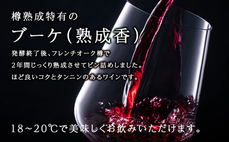 十勝ワイン シャトー十勝 2004 準グレートビンテージ 720ml 北海道池田町 ビンテージ 赤ワイン 数量限定 ヴィンテージ