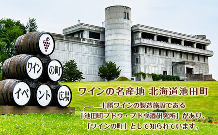 北のサングリアサワー 赤ワインベース 48本 サングリア ワイン サワー 酒 セイコーマート セコマ Secoma 池田町 北海道 酒 リキュール