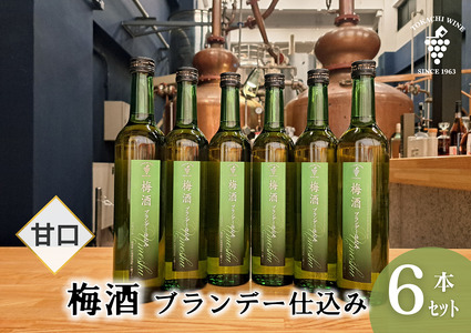 梅酒 ブランデー仕込み 500ml×6本 梅酒 ブランデー 甘口 原酒 熟成 フレンチオーク樽
