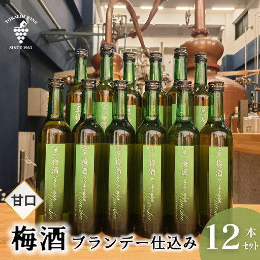 梅酒 ブランデー仕込み 500ml×12本 梅酒 ブランデー 甘口 原酒 熟成 フレンチオーク樽
