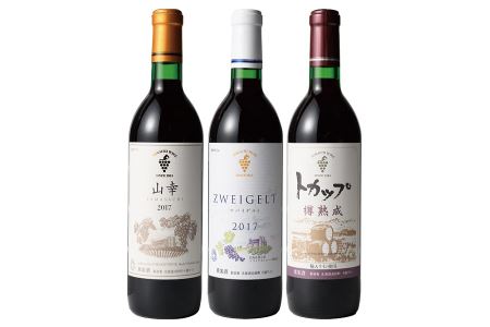 【北海道】ワイン城おすすめ赤3本　十勝ワイン　特選3本　山幸ワイン　ワイナリーワイン