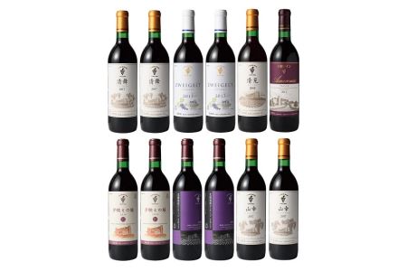 【北海道】赤にこだわったビンテージ12本　人気ワイン　ビンテージワイン　ワイン　北海道ワイン　本格派ワイン　こだわりワイン　ワイン　北海道ワイン　国内ワイン　ワイン　ワイン　ビンテージ　ワイン　国内ワイン　ワイン　ワイン　ビンテージ　ワイン