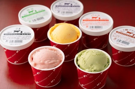 北海道　バラエティアイス8種セット　人気アイスクリーム　北海道アイスクリーム　アイスクリーム　冷凍アイス　北海道アイス　アイス　アイスクリーム　アイス　アイスクリーム　アイス　アイスクリーム