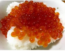 【宿泊】活かにと十勝産和牛のオーナーおまかせプラン1泊2食 宿泊 トラベル