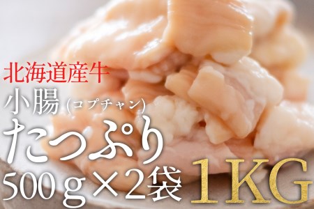 北海道産牛 小腸(コプチャン) 500g×2袋 合計1kg