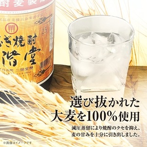 大分むぎ焼酎　二階堂25度(1800ml)4本セット_大分むぎ焼酎 二階堂 麦焼酎 焼酎 酒 酒セット 焼酎セット  まとめ買い_【1515931】