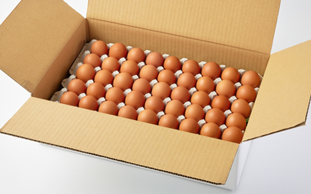 大分生まれのAW飼い有精卵「豊の米卵」90個入り_卵・乳製品 卵  たまご タマゴ 玉子_【配送不可地域：離島】【1610935】