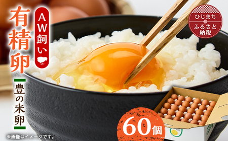大分生まれのAW飼い有精卵「豊の米卵」60個入り_卵・乳製品 卵 たまご タマゴ 玉子_【配送不可地域:離島】【1610936】