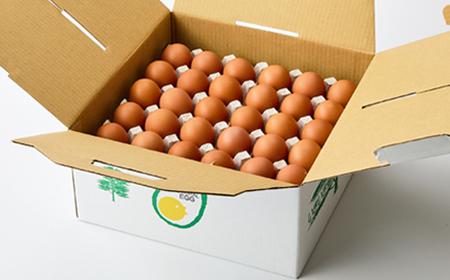 大分生まれのAW飼い有精卵「豊の米卵」60個入り_卵・乳製品 卵 たまご タマゴ 玉子_【配送不可地域:離島】【1610936】