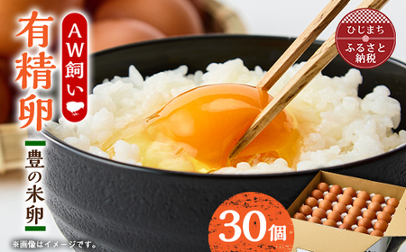 大分生まれのAW飼い有精卵「豊の米卵」30個入り_卵・乳製品 卵  たまご タマゴ 玉子_【配送不可地域：離島】【1610938】