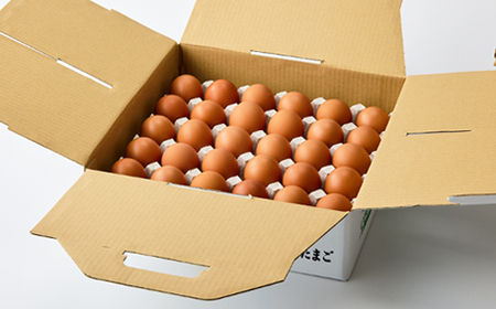 大分生まれのAW飼い有精卵「豊の米卵」30個入り_卵・乳製品 卵  たまご タマゴ 玉子_【配送不可地域：離島】【1610938】