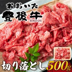 おおいた豊後牛切り落とし 500g(日出町)_肉 黒毛和牛 牛肉 _【配送不可地域：離島】【1571543】