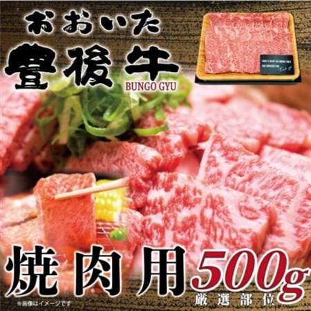 おおいた豊後牛焼肉用 500g(日出町)_肉 焼肉 牛肉 やきにく ヤキニク バーベキュー  肉 黒毛和牛 牛肉 _【配送不可地域：離島】【1571606】