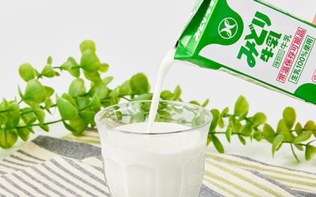 みどり牛乳200ml×48本 ロングライフ商品(日出町)_卵・乳製品  牛乳 ミルク みるく_【1613019】