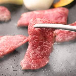 【毎月定期便】特選おおいた和牛(日出町)全3回【配送不可地域：離島】【4070263】