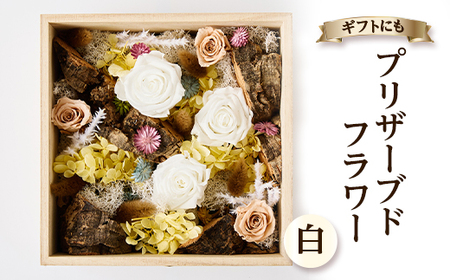 プリザーブドフラワー白【1662935】