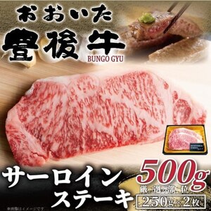 【毎月定期便】おおいた豊後牛サーロインステーキセット 500g(250g×2枚)(日出町)全6回【配送不可地域：離島】【4074136】