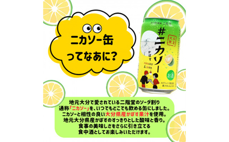 大分むぎ焼酎 二階堂 #ニカソー缶かぼす(350ml×24本)【1676190】