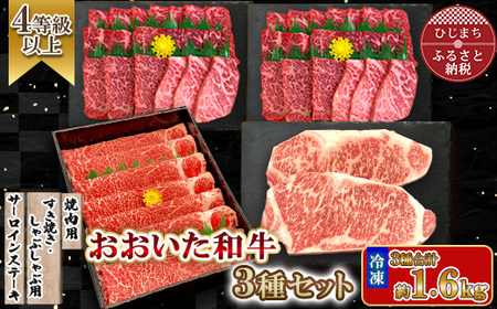 おおいた和牛3種セット 合計1.66kg(サーロインステーキ・すき焼き/しゃぶしゃぶ用・焼肉用)【配送不可地域：離島】【1700678】
