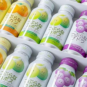 つぶらなお友だち3種セット(カボス×12本・ミカン×6本・ブドウ×6本)計24本【1682431】