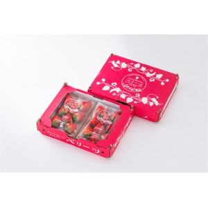 大分県産ベリーツ(270g×2パック)(日出町)【配送不可地域：離島・沖縄県】【1708986】