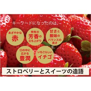 大分県産ベリーツ(270g×2パック)(日出町)【配送不可地域：離島・沖縄県】【1708986】
