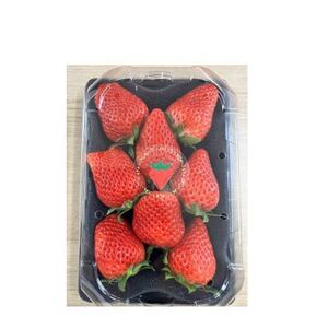 野上農園の土耕栽培ベリーツ 計600g【配送不可地域：離島】【1710545】