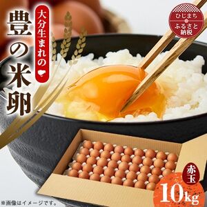 大分生まれのAW飼い有精卵「豊の米卵」10kg(赤卵)【配送不可地域:離島】【1714037】