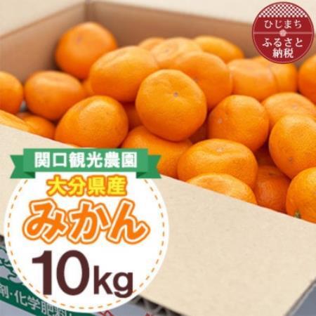 温州みかん約10キロ【1727487】｜大分県日出町｜ポイント制ふるさと