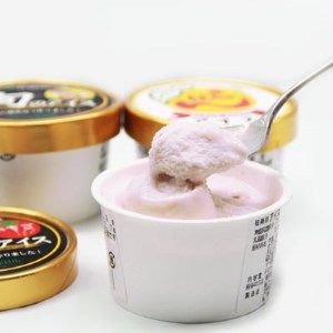 地元特産品アイス3種　12個セット_菓子・スイーツ アイス・ジェラート  _【配送不可地域：離島】【1118778】