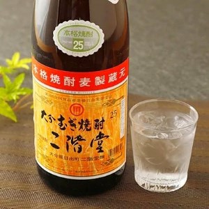 大分むぎ焼酎 二階堂25度2本セット(1800ml)AG06_大分むぎ焼酎 二階堂 麦焼酎 焼酎 酒 酒セット 焼酎セット  まとめ買い_【1078133】