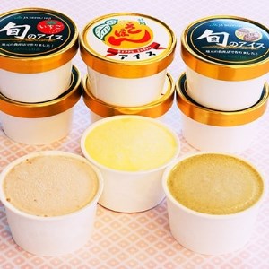 地元特産品アイス3種 9個セット_菓子・スイーツ アイス・ジェラート _【配送不可地域:離島】【1118777】