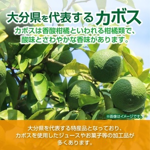 つぶらなカボス　はちみつ入り(30本)_大分  名産  特産品  つぶらなシリーズ  つぶらなかぼす  カボス  ギフト プレゼント ジュース  缶ジュース つぶ入り  大分県産  果汁飲料_【1078412】