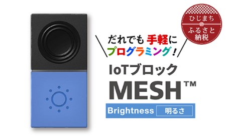 IoTブロック “MESH” 明るさブロック【配送不可地域：離島】【1101450】