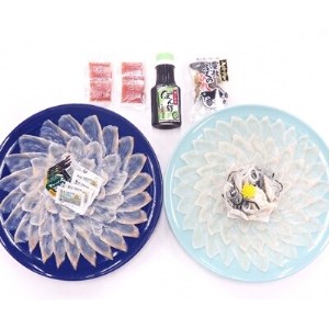 日出産とらふぐ刺身とくえ刺身の味くらべ(3～4人前)_魚介・海産物 クエ 鮮魚   魚介・海産物 ふぐ 鮮魚 フグ 河豚_【配送不可地域：離島】【1133893】